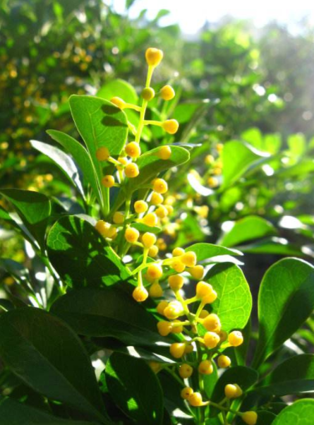 耐酸磚，盲道磚，陶瓷透水磚源頭生產廠家到底適不適合參加展會